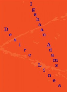 Igshaan Adams- Desire Lines